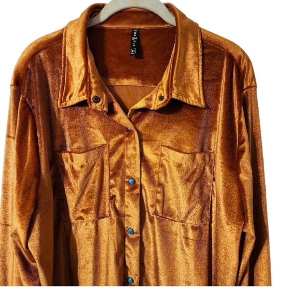 2 Fly Velvedeer Spice Button Down Top - Picture 2 of 6
